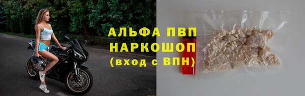 твердый Богданович