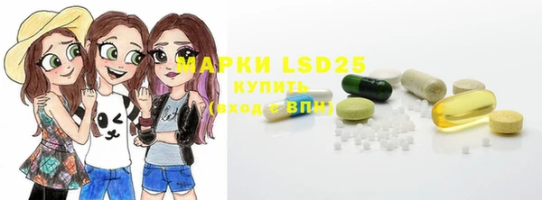 твердый Богданович