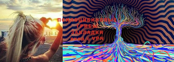 амфетамин Богородицк