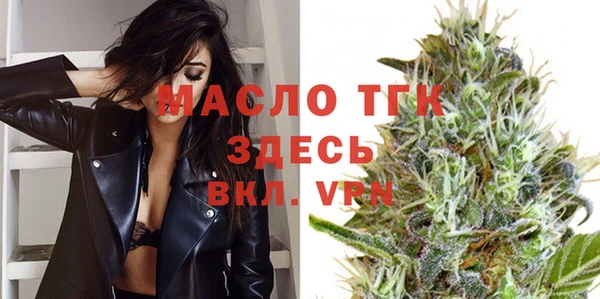 твердый Богданович