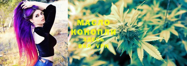 твердый Богданович