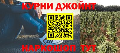 бошки Ливны